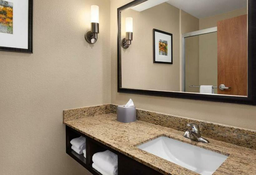 Executive Kamer met Kingsize Bed, Holiday Inn Express  & Suites Edmond