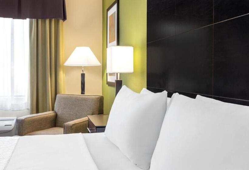 اتاق استاندارد با تخت بزرگ, Holiday Inn Express  & Suites Edmond