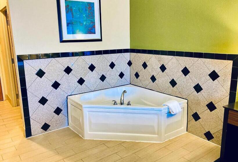 سوئیت با تخت بزرگ, Holiday Inn Express Hotel & Suites Edmond, An Ihg