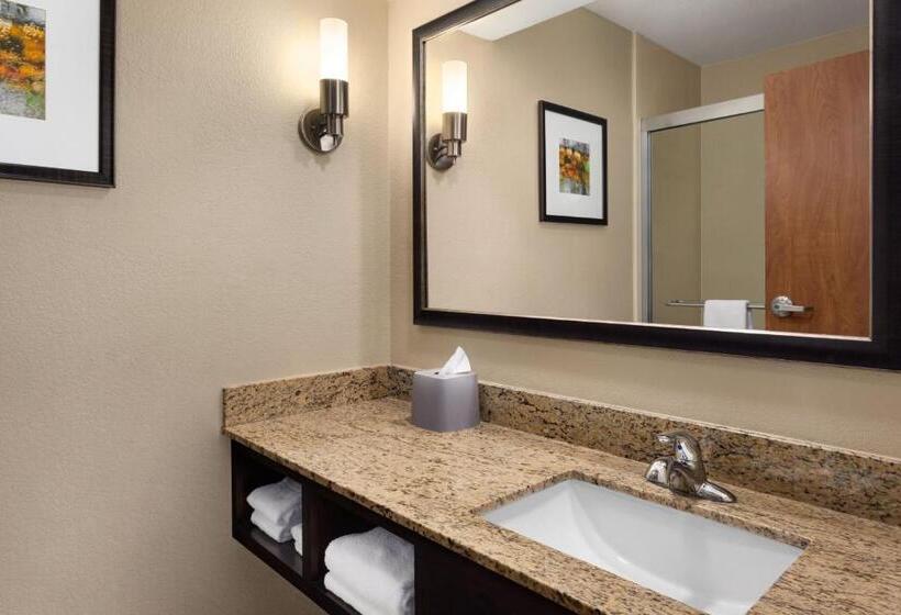 جناح سرير كينج, Holiday Inn Express  & Suites Edmond