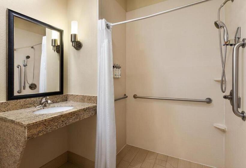 اتاق استاندارد با تخت بزرگ برای معلولان, Holiday Inn Express Hotel & Suites Edmond, An Ihg