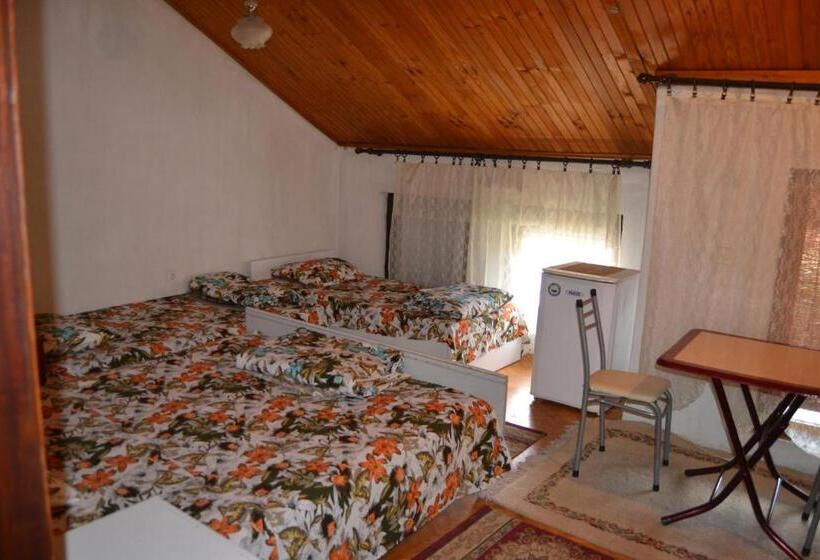 استودیو استاندارد با تراس, Hostel Valentin