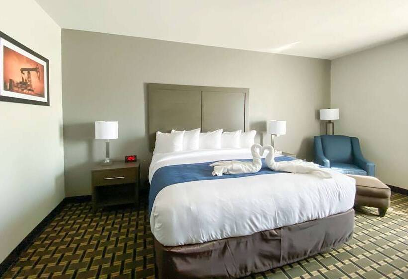 اتاق استاندارد با تخت دوبل برای معلولان, Comfort Inn Owasso  Tulsa
