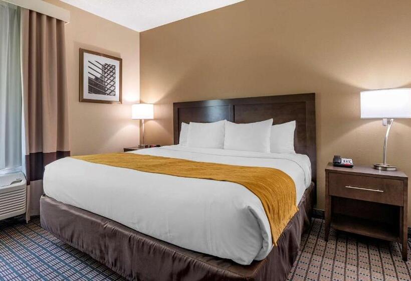 Suite Kingsize Bett, Comfort Inn & Suites