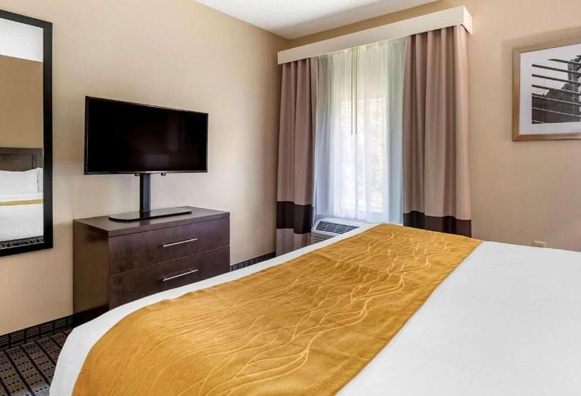 سوئیت با تخت بزرگ, Comfort Inn & Suites