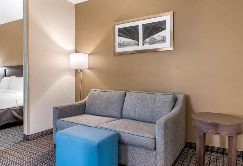 Suite Kingsize Bett, Comfort Inn & Suites