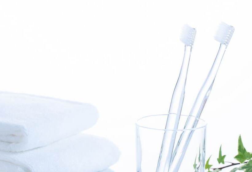 اتاق استاندارد, Comfort Hotel Kitami