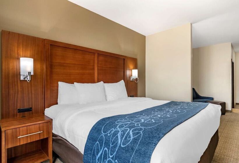 سوییت, Comfort Suites Buda   Austin South