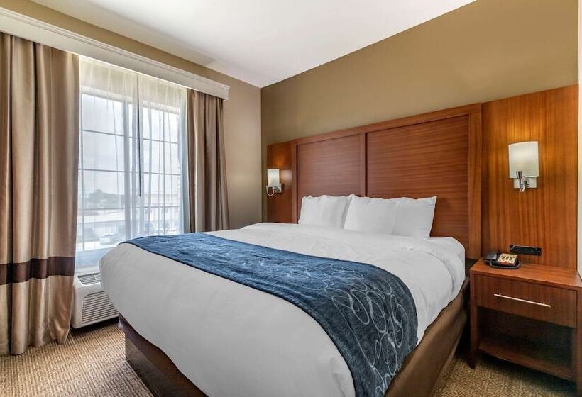 سوییت, Comfort Suites Buda   Austin South
