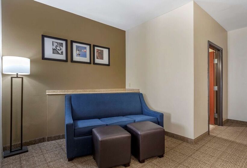 سوییت, Comfort Suites Buda   Austin South