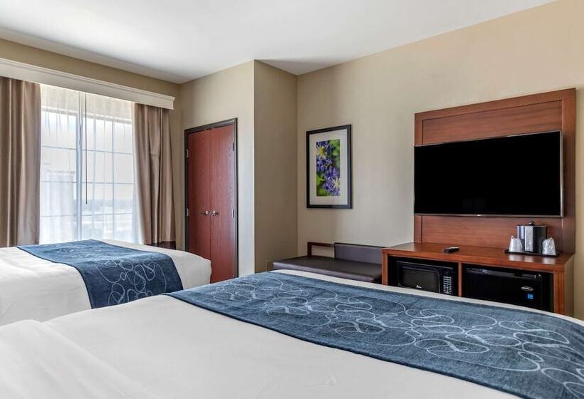 سوییت, Comfort Suites Buda   Austin South