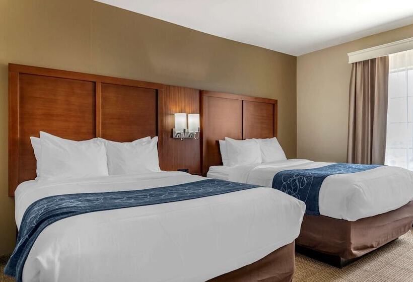 سوییت, Comfort Suites Buda   Austin South
