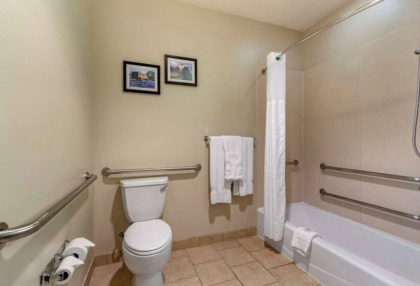 سوییت, Comfort Suites Buda   Austin South