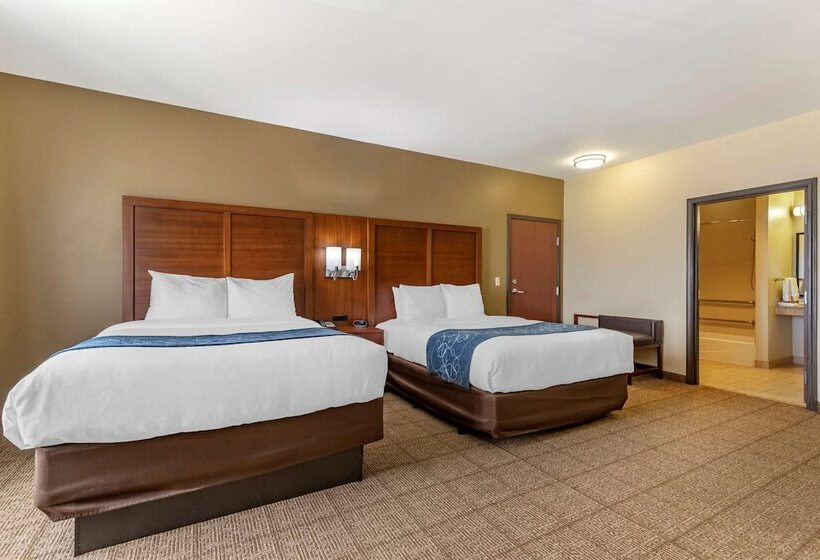 سوییت, Comfort Suites Buda   Austin South