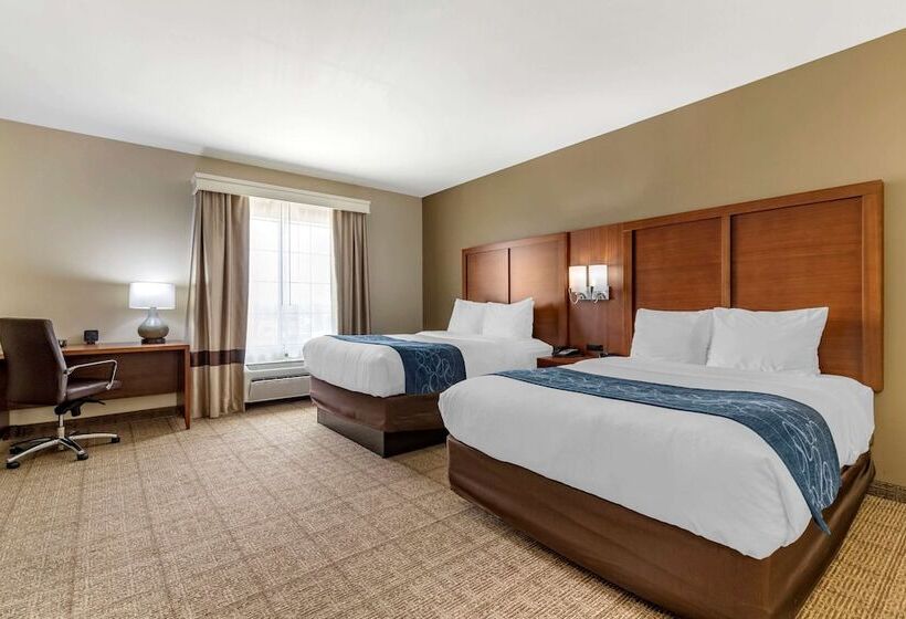 سوییت, Comfort Suites Buda   Austin South