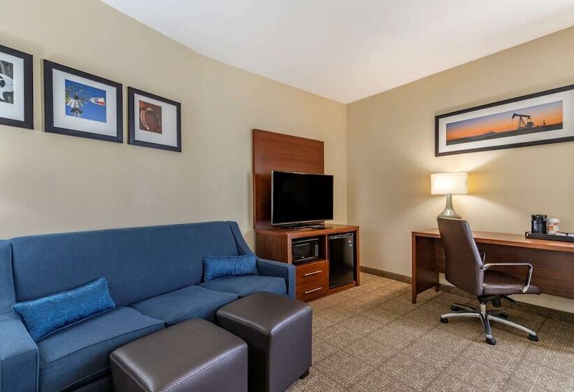 سوییت, Comfort Suites Buda   Austin South