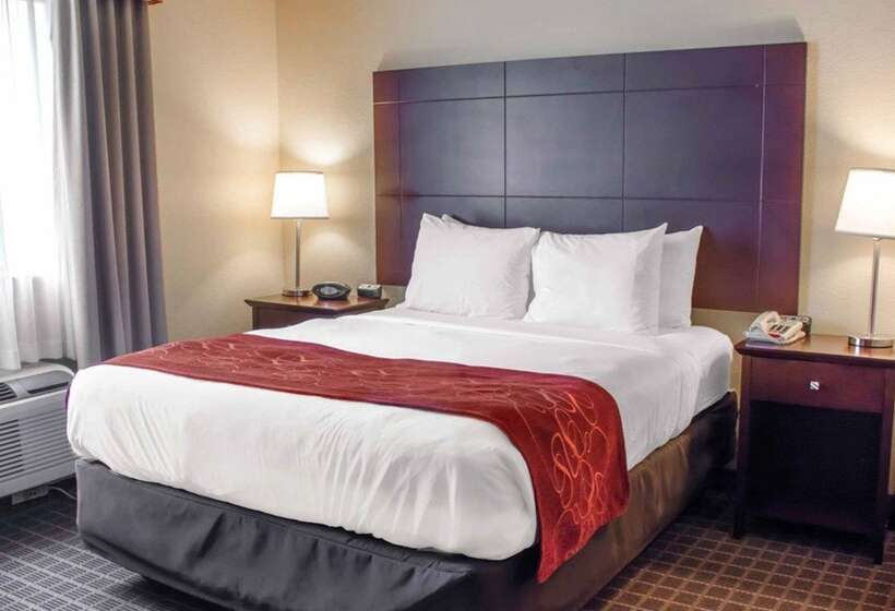 Suite Adapted for people with reduced mobility, Comfort Suites Huntsville Research Park Area