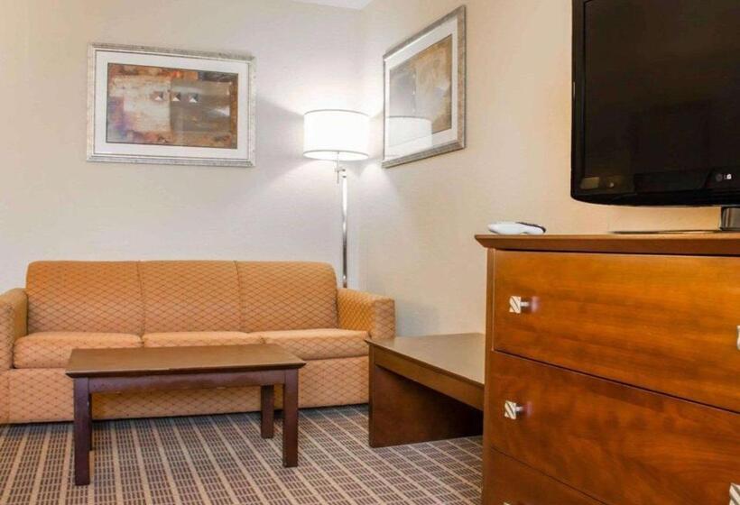 Suite Llit King, Comfort Suites Huntsville Research Park Area