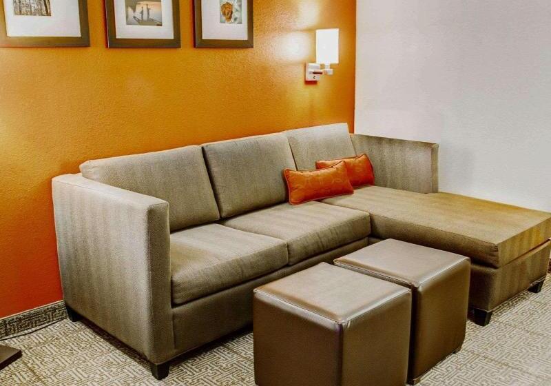 سوئیت با تخت بزرگ, Comfort Suites Tyler South
