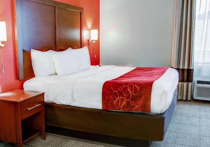 سوئیت با تخت بزرگ, Comfort Suites Tyler South