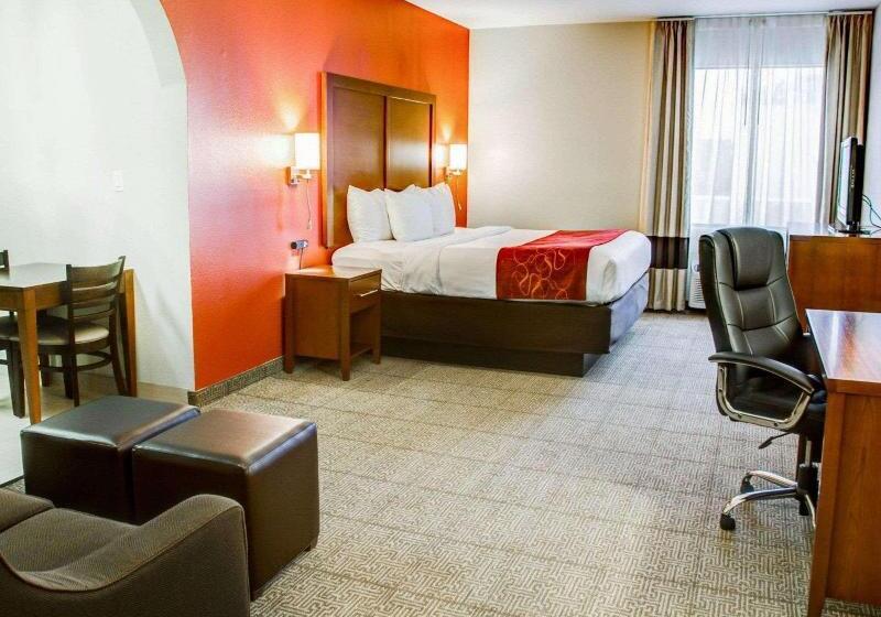 سوئیت با تخت بزرگ, Comfort Suites Tyler South