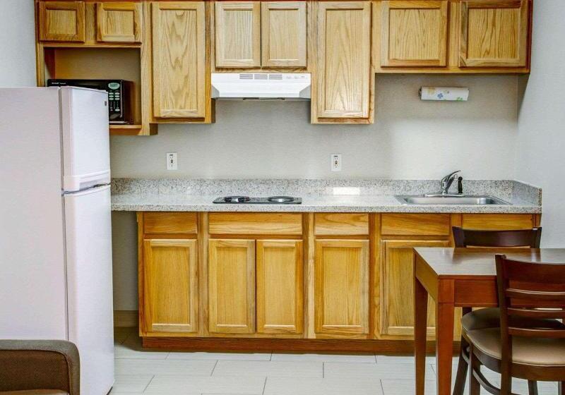 سوئیت با تخت بزرگ, Comfort Suites Tyler South