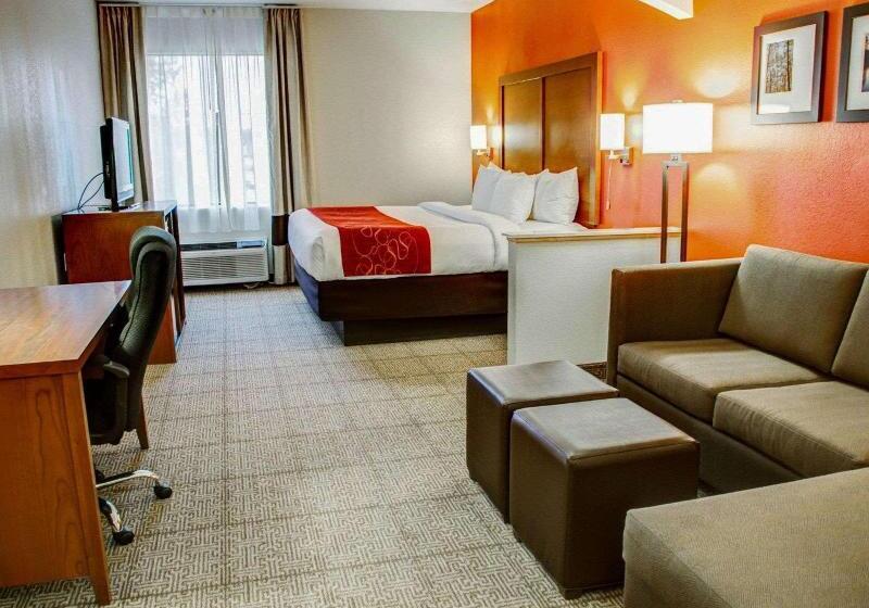 سوییت, Comfort Suites Tyler South