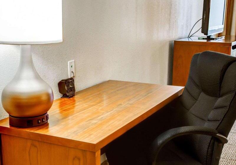 سوییت, Comfort Suites Tyler South