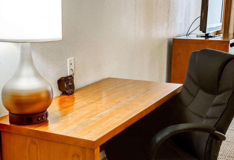 سوئیت با تخت بزرگ, Comfort Suites Tyler South