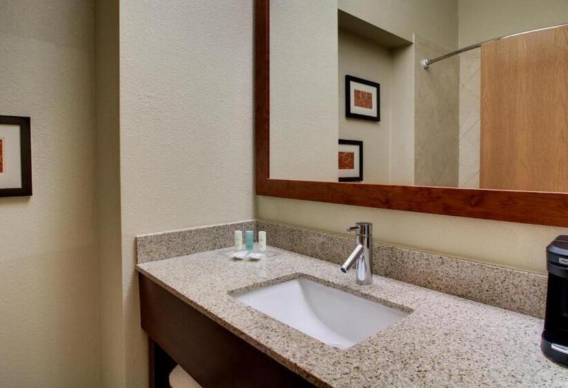 سوییت, Comfort Suites Tyler South