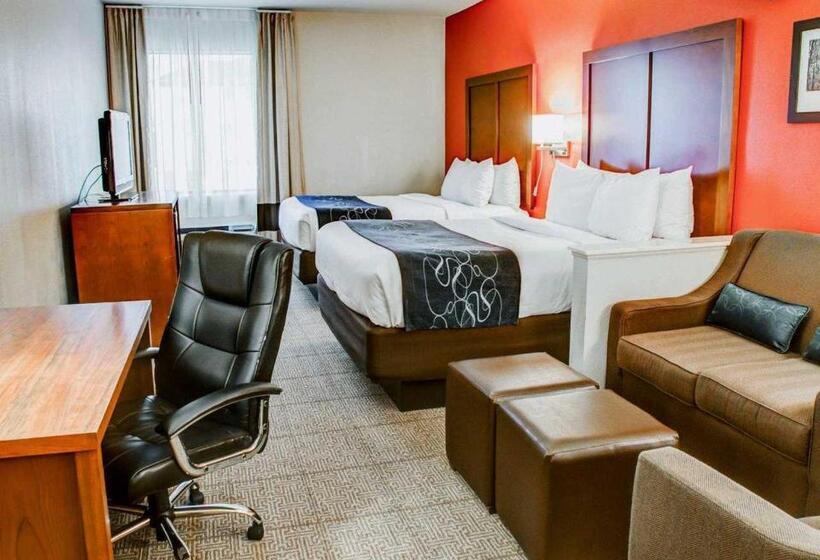 سوییت, Comfort Suites Tyler South