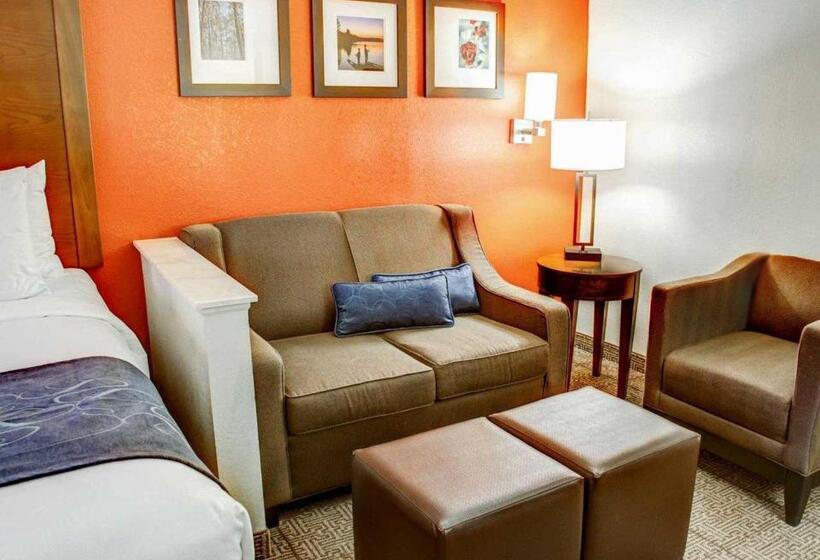 سوییت, Comfort Suites Tyler South