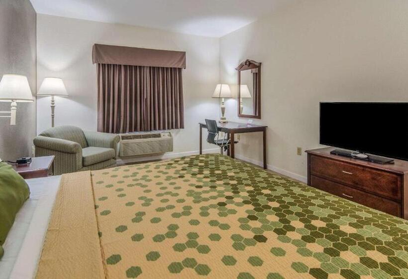 اتاق استاندارد با تخت بزرگ, Econo Lodge Weatherford