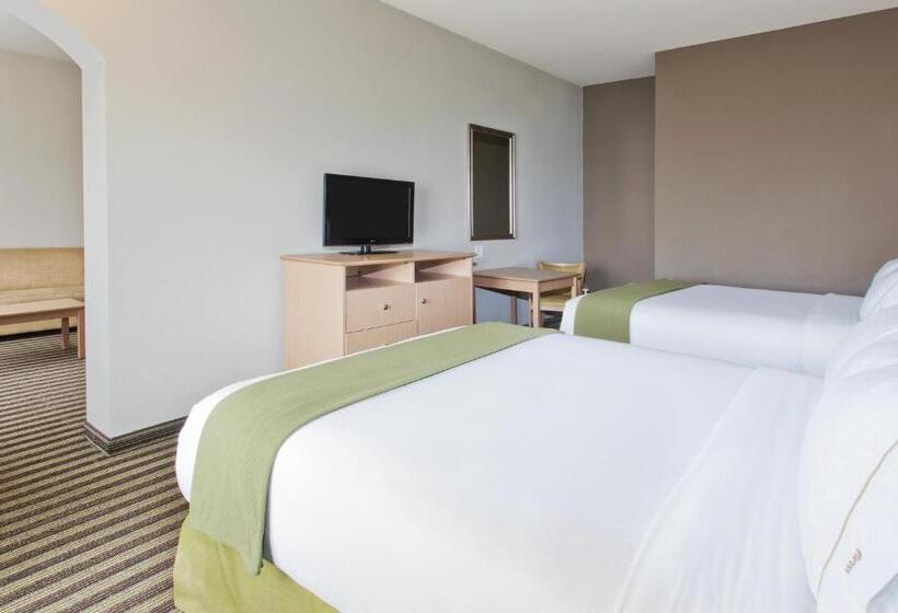 Suite Executive, Holiday Inn Express  & Suites Alvarado