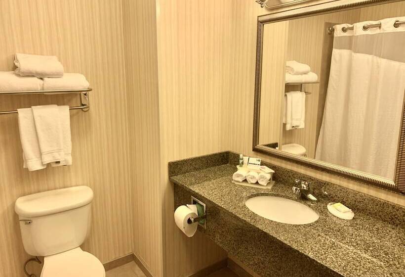 Suite Adaptada para personas con movilidad reducida, Holiday Inn Express  & Suites Dewitt  Syracuse