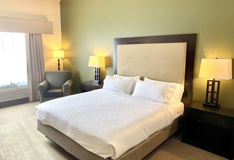 سوئیت برای معلولان, Holiday Inn Express & Suites Dewitt   Syracuse, An Ihg