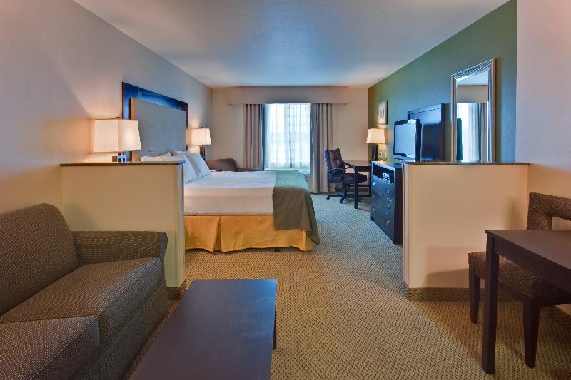 سوئیت با تخت بزرگ, Holiday Inn Express & Suites Dewitt   Syracuse, An Ihg