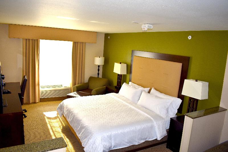 اتاق استاندارد با تخت بزرگ, Holiday Inn Express & Suites Dewitt   Syracuse, An Ihg