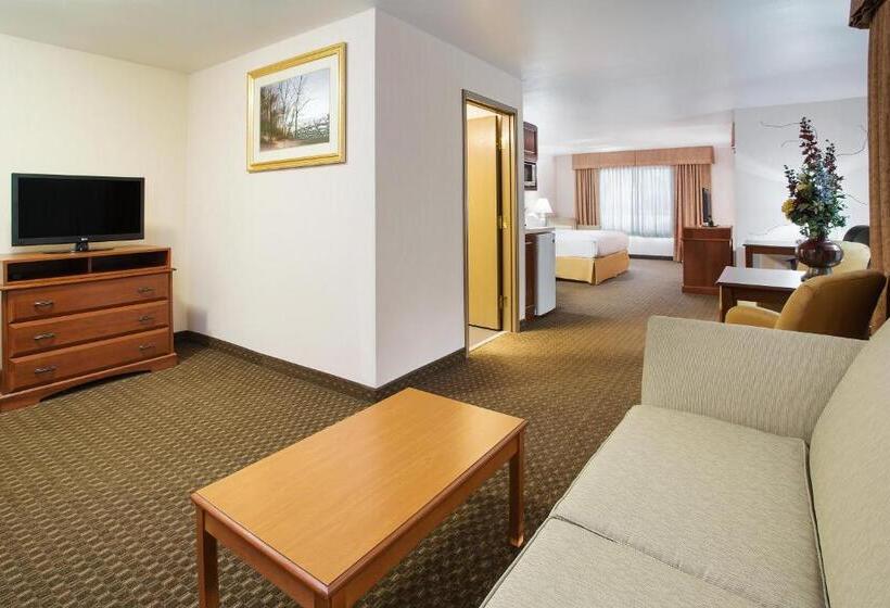 سوئیت اجرایی با تخت کینگ, Holiday Inn Express Hotel & Suites Marion, An Ihg