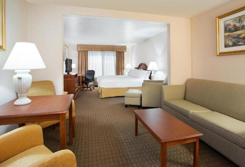 سوئیت با تخت بزرگ, Holiday Inn Express Hotel & Suites Marion, An Ihg