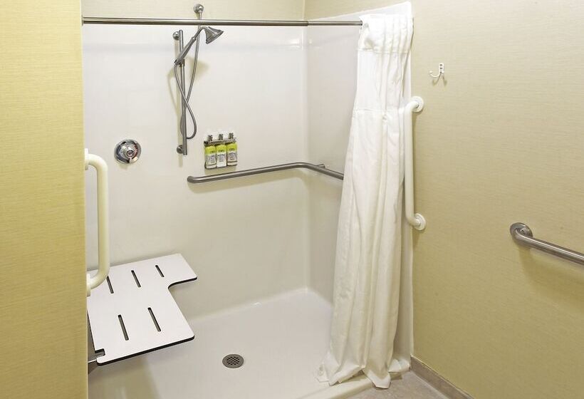 اتاق استاندارد با تخت دوبل, Holiday Inn Express  & Suites Sharonhermitage
