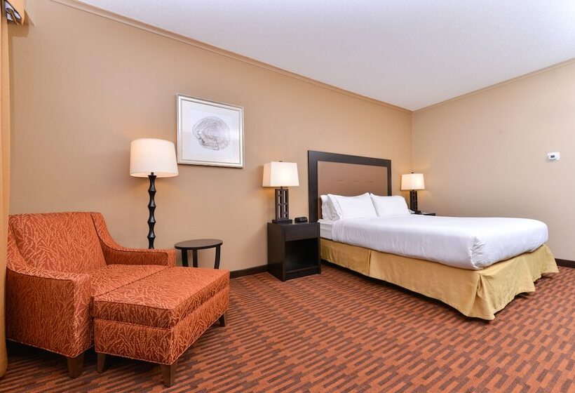 اتاق استاندارد با تخت دوبل, Holiday Inn Express Breezewood