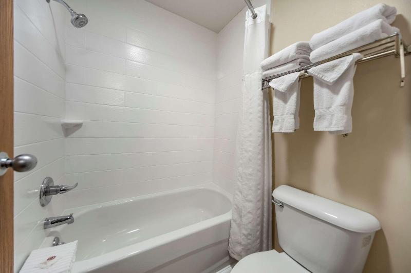 适合残疾人使用的标准间, Holiday Inn & Suites Green Bay Stadium, An Ihg