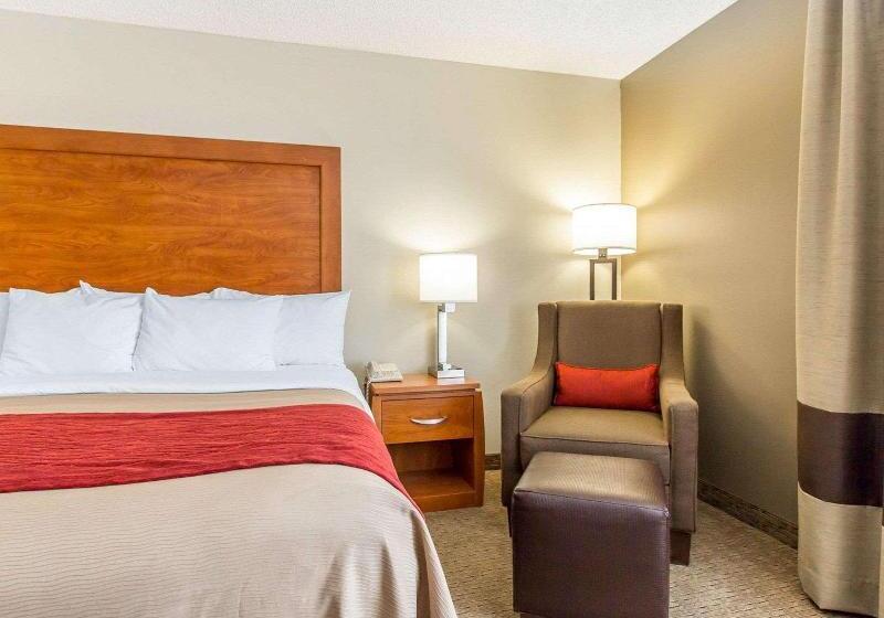 适合残疾人使用的标准间, Holiday Inn & Suites Green Bay Stadium, An Ihg