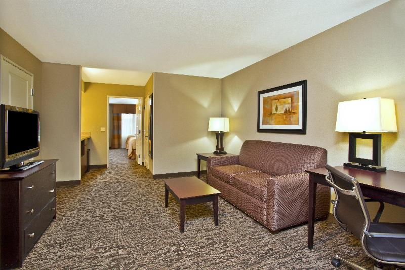 适合残疾人士使用的套间, Holiday Inn & Suites Green Bay Stadium, An Ihg