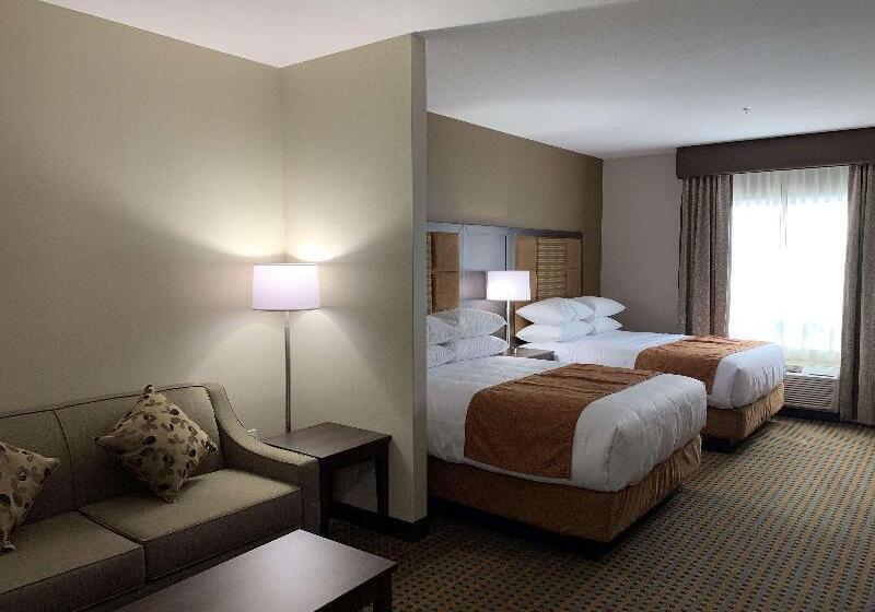 适合残疾人士使用的带超级大床的标准间, Holiday Inn & Suites Green Bay Stadium, An Ihg