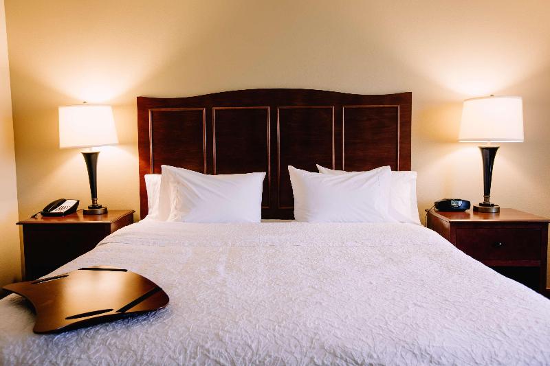 套房, Holiday Inn & Suites Green Bay Stadium, An Ihg