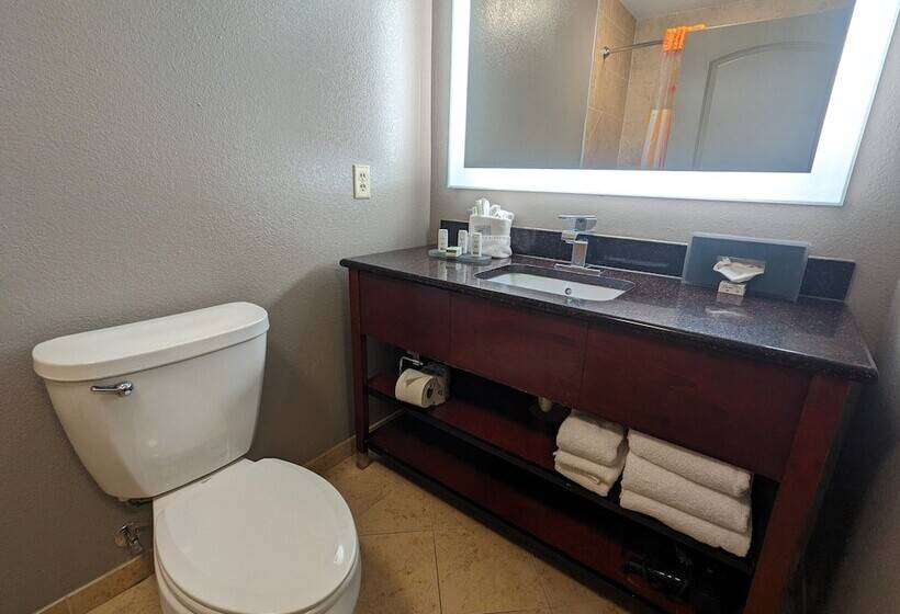 Apartament 1 Dormitori, La Quinta Inn & Suites By Wyndham Woodway  Waco South