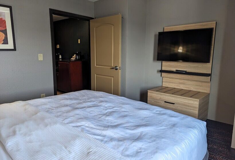 اتاق دلوکس مخصوص معلولین, La Quinta By Wyndham Woodway   Waco South
