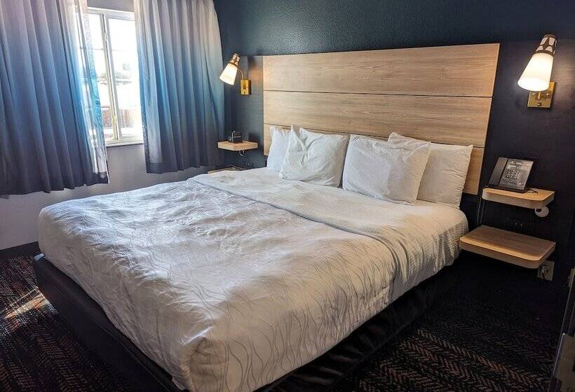اتاق دلوکس مخصوص معلولین, La Quinta By Wyndham Woodway   Waco South